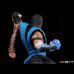 Sub Zero (Mortal Kombat) 1/10