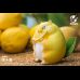 Planet Lemon Flying Squirrel (Fruit Fairy)