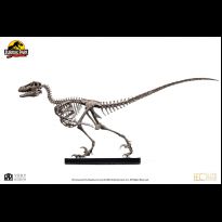 Raptor Skeleton Bronze