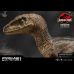 Velociraptor Close Mouth Ver (Jurassic Park) Limited