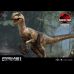 Velociraptor (Jurassic Park)