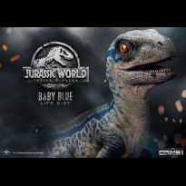 Baby Blue Raptor Life Size