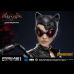Catwoman (Batman: Arkham Knight)