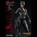 Catwoman (Batman: Arkham Knight)