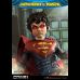 Superboy & Robin (DC Comic) 1/3