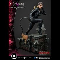 Catwoman (Lee Bermejo) Deluxe Bonus Edt 1/3