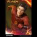 The Flash (TV Series)Exclusive 1/3