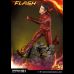 The Flash (TV Series)Exclusive 1/3