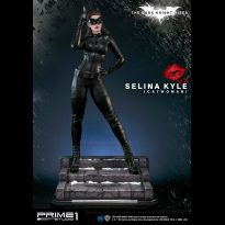 Catwoman (The Dark Knight Rises) 1/3