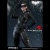 Catwoman (The Dark Knight Rises) 1/3