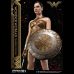 Wonder Woman Training Costume (Movie 2017)