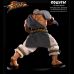 Street Fighter Gouken 1/4