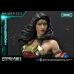 Wonder Woman (Injustice 2) Deluxe 1/4