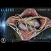 The Xenomorph Egg (Alien) Open Ver