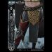 Cirilla Fiona Elen Riannon Alternative Outfit (Witcher) Regular Edt 1/3