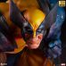 Wolverine Berserker Rage (X-Men)