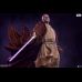 Mace Windu PF (Star Wars)