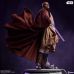 Mace Windu PF (Star Wars)