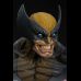 Wolverine Life Size Bust