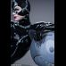 Catwoman 1/4