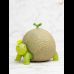 Turtle Melon (Vegetables Fairy)