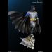 Batman Super Power