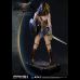 Wonder Woman (BvS : Dawn Of Justice) 1:2 Scale