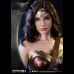 Wonder Woman (BvS : Dawn Of Justice) 1:2 Scale