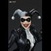 Harley Quinn (Batman White Knight) Stealth