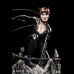 Cat Woman (Rebith) 1/6