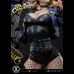 Black Canary (DC Comics) 1/3