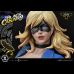 Black Canary (DC Comics) Exclusive 1/3