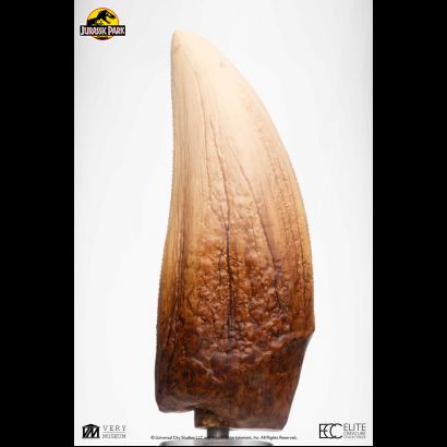 Screen Used T-Rex Tooth (Jurassic Park)