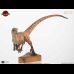 Male Raptor Maquette (Jurassic Park)