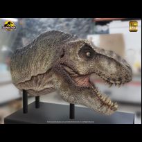 Life-Size Tyrannosaurus Rex Head