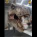 Life-Size Tyrannosaurus Rex Head