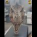 Life-Size Tyrannosaurus Rex Head