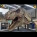 Life-Size Tyrannosaurus Rex Head