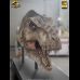 Life-Size Tyrannosaurus Rex Head