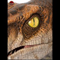 Male Velociraptor Life Size Bust (Jurassic Park )