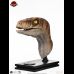 Male Velociraptor Life Size Bust (Jurassic Park )