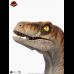 Male Velociraptor Life Size Bust (Jurassic Park )