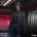 Anakin Skywalker (Starwars)