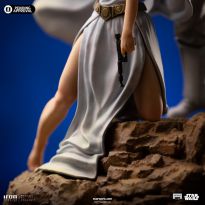 Luke and Leia Deluxe (Star Wars)