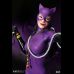 Catwoman (DC Comics) 1/4